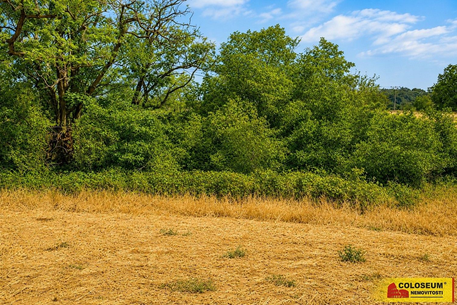 Zemědělský pozemek, 8 295 m²