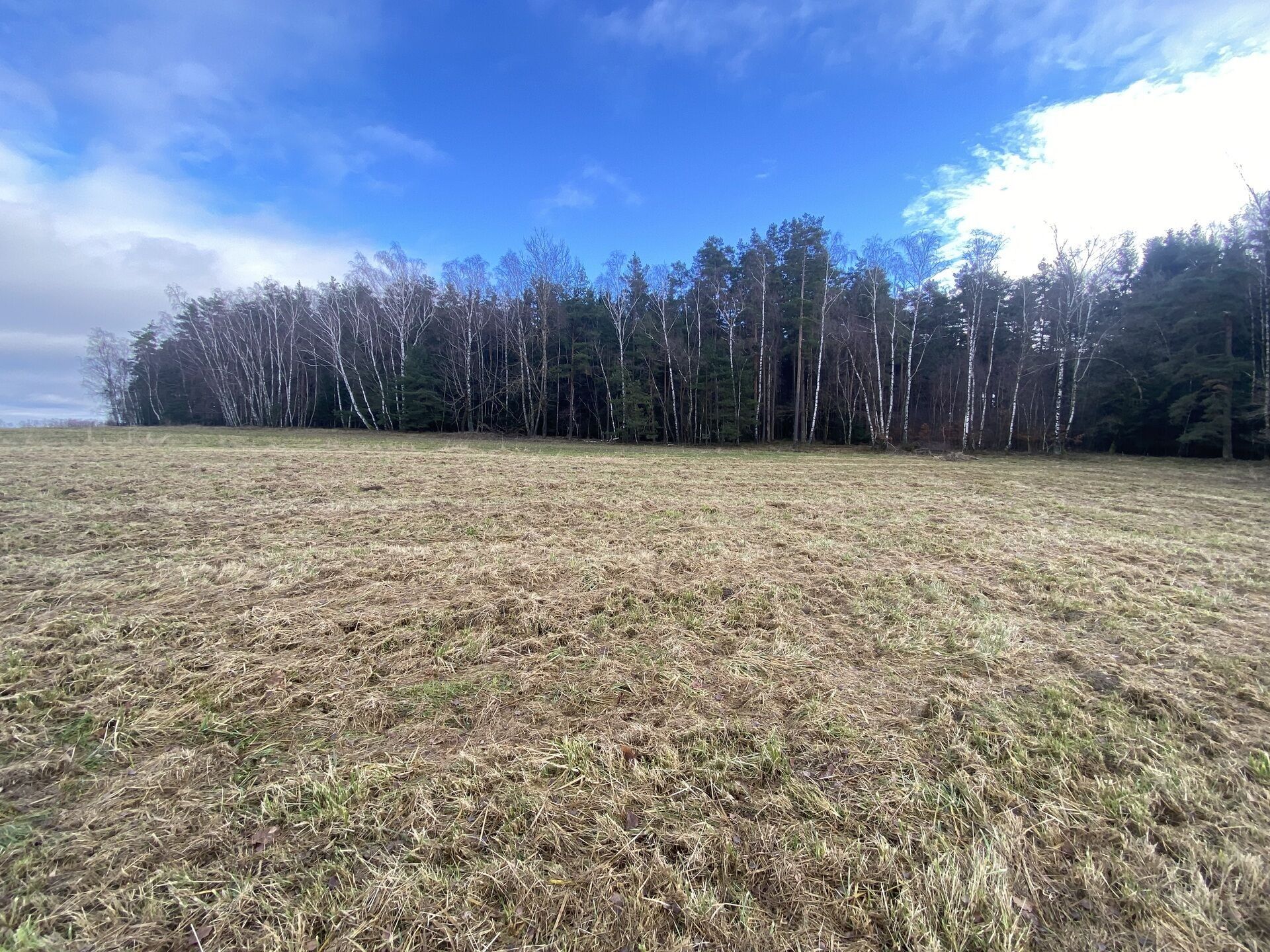 Pozemek · 11 526 m² · Kaplice Pořešín - 3