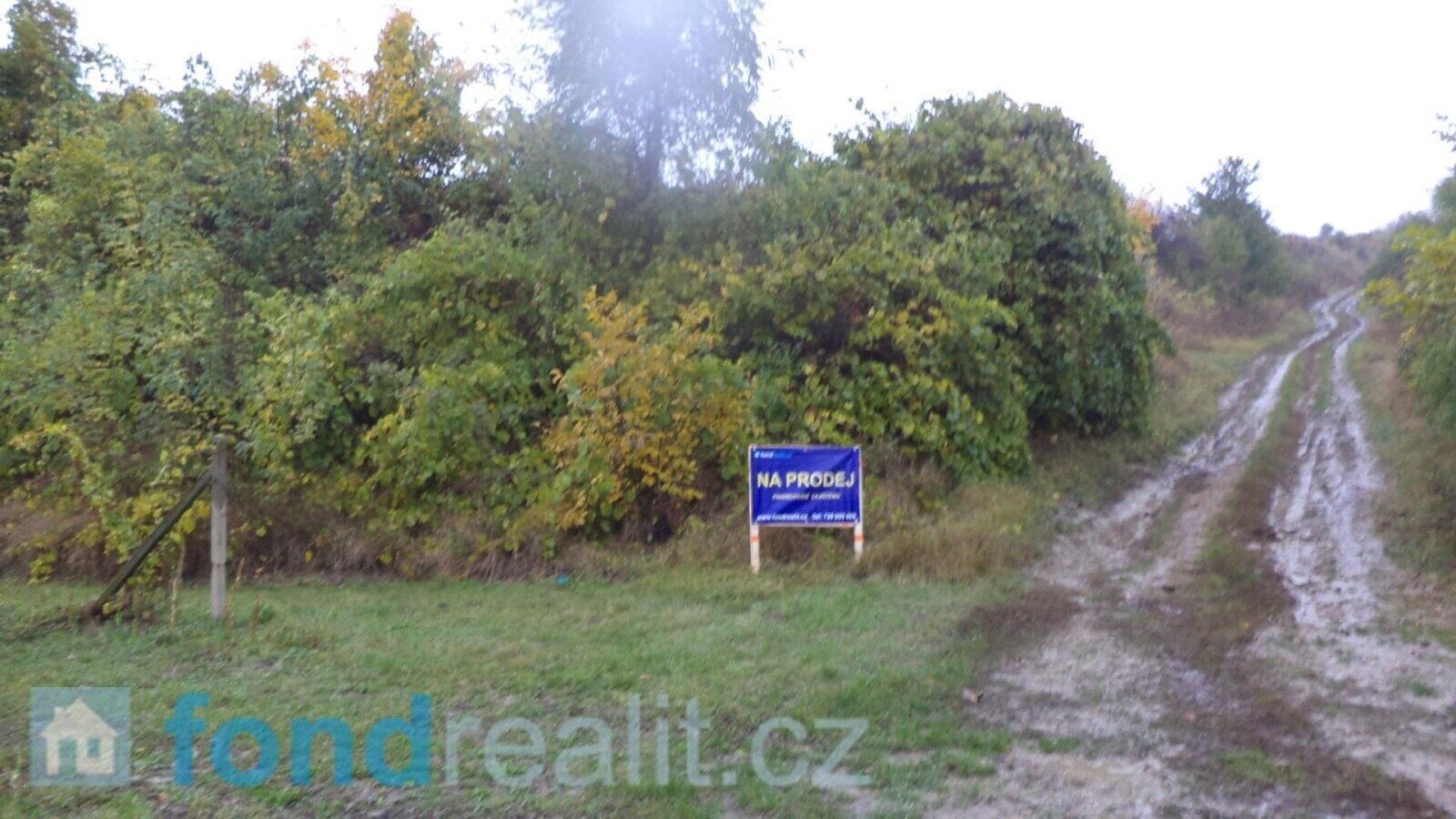 Prodej pozemek - Morkůvky, 4 541 m² - 5