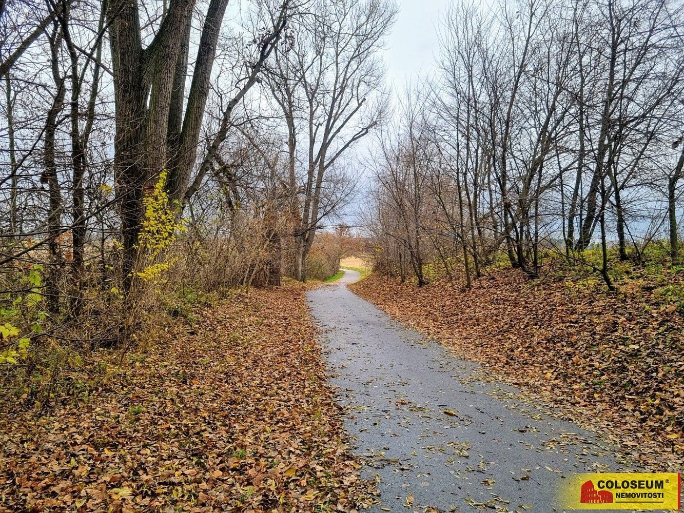 Pozemky pro bydlení, Rousínov - Čechyně, okres Vyškov, Jihomoravský kraj - 1