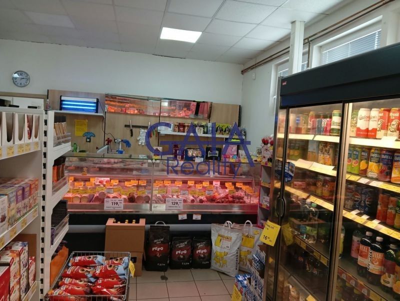 Prodej obchodní prostory - Riegrova, Velim, 218 m² - 5