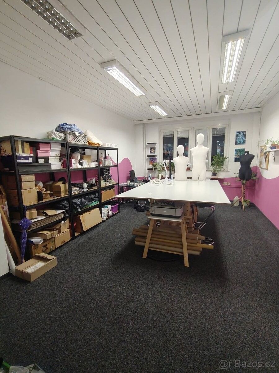 Kanceláře, Praha, 170 00