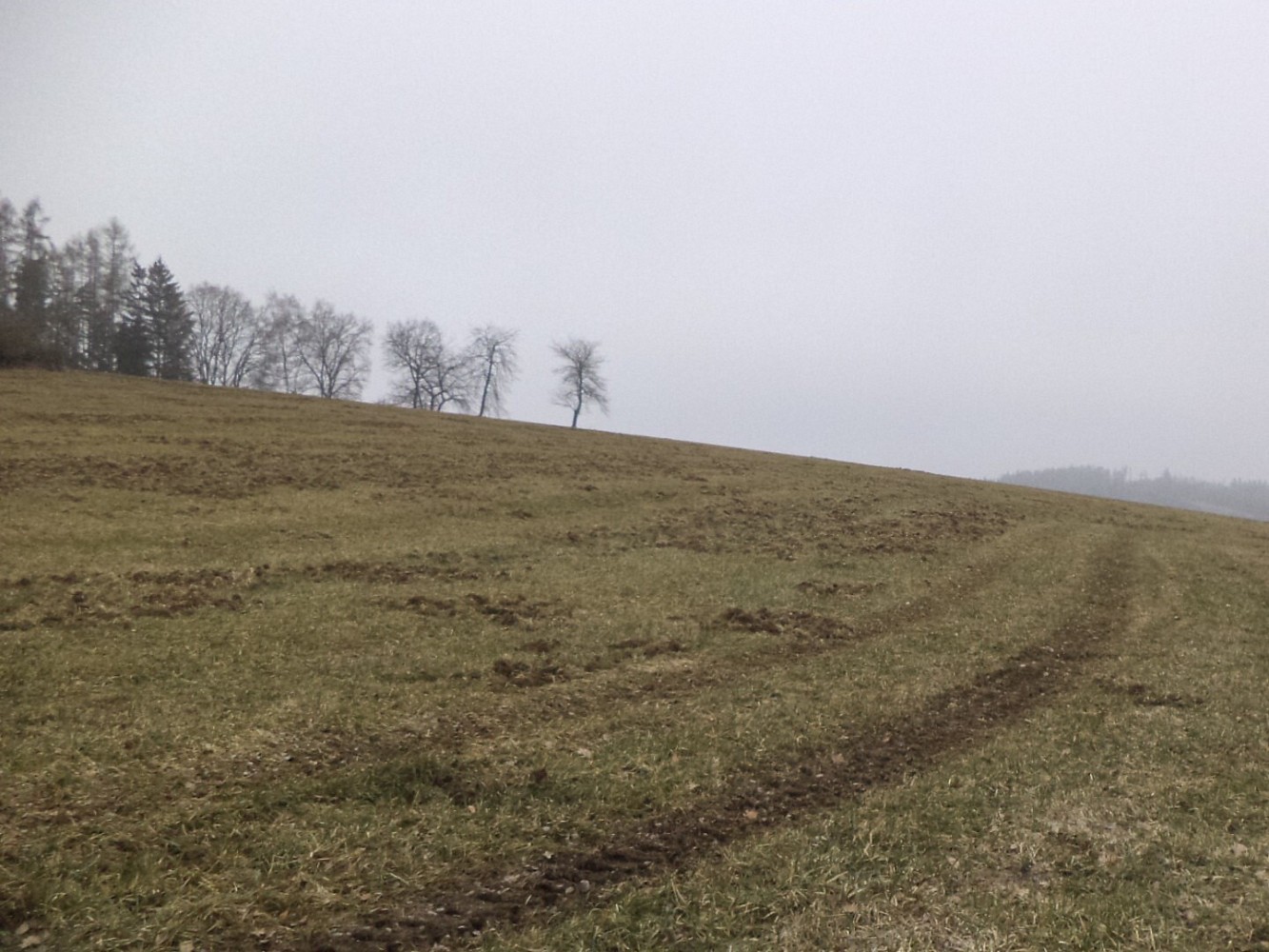 Zemědělský pozemek · Zvěstov - 3