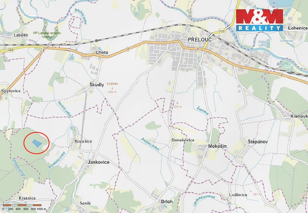 Les · Jankovice - Kozašice, okres Pardubice, Pardubický kraj - 3