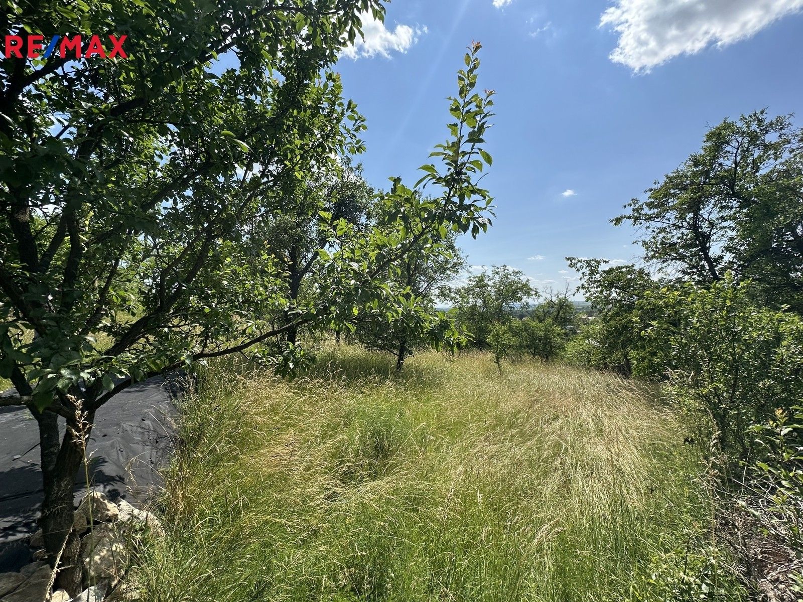 Prodej zahrada - Slavkov u Brna, 539 m²