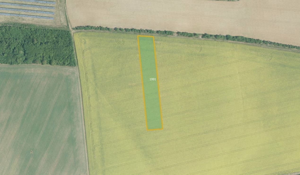 Zemědělské pozemky, Dřínov