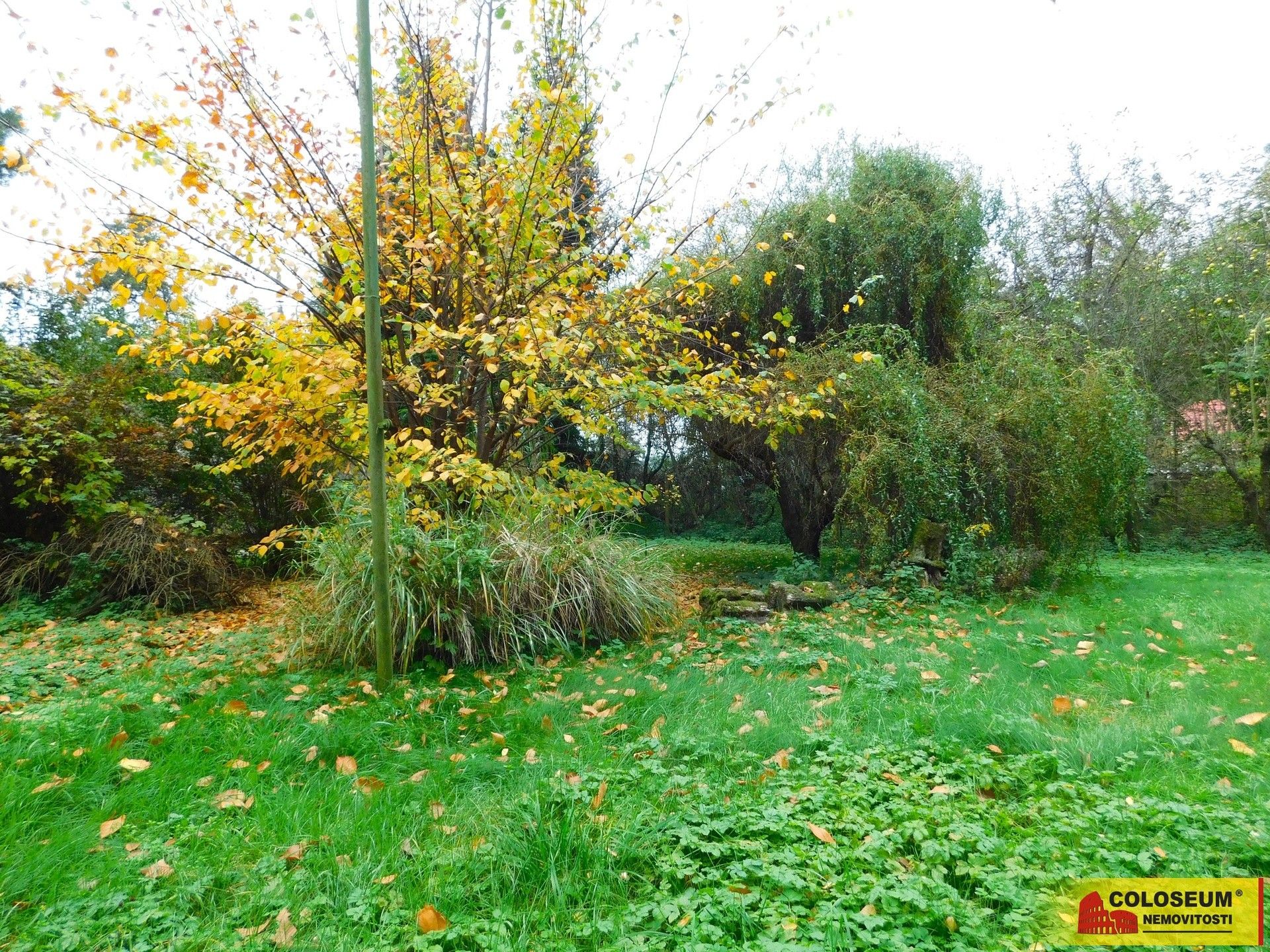 Prodej zahrada - Dyje