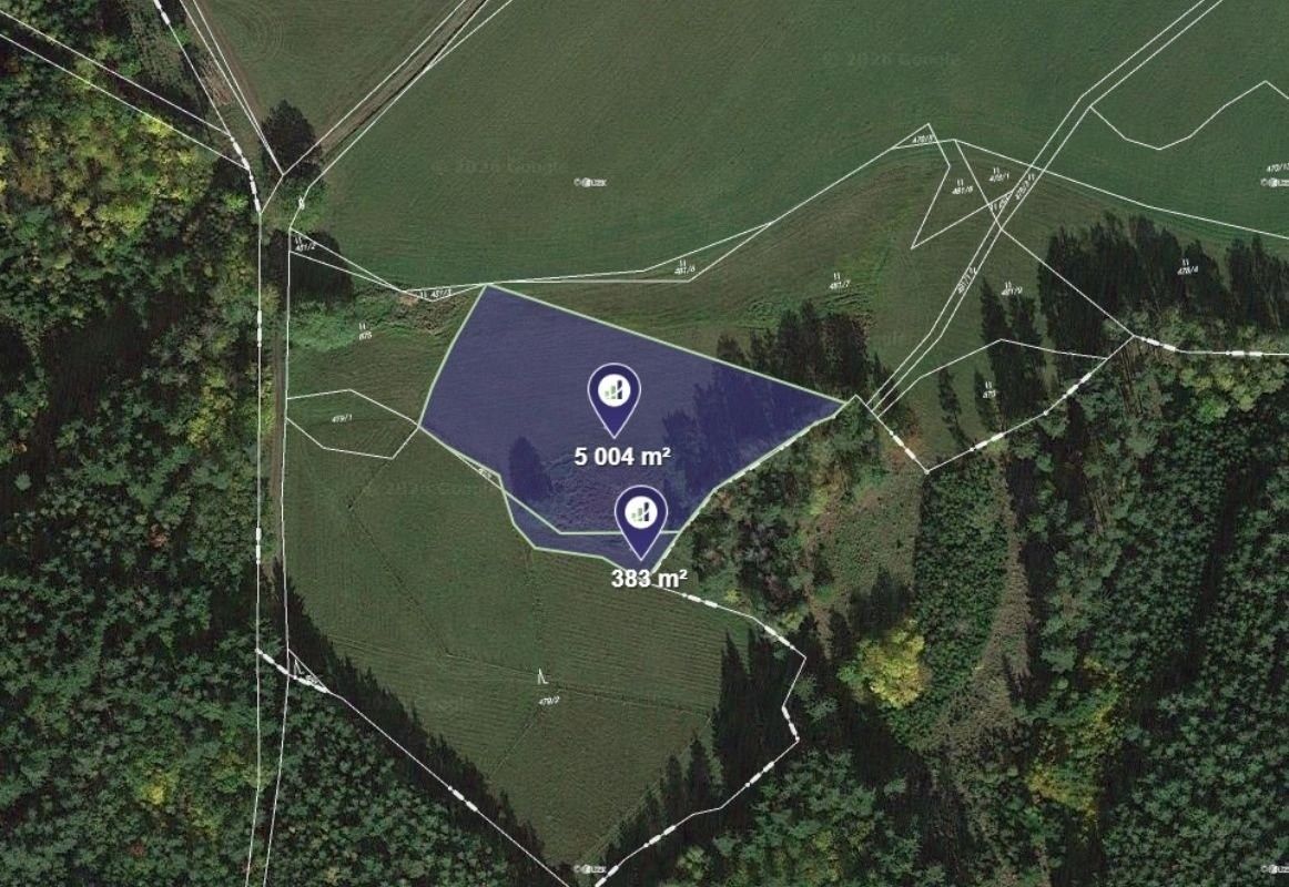 Zemědělský pozemek · 57 981 m² · Čistá - 4