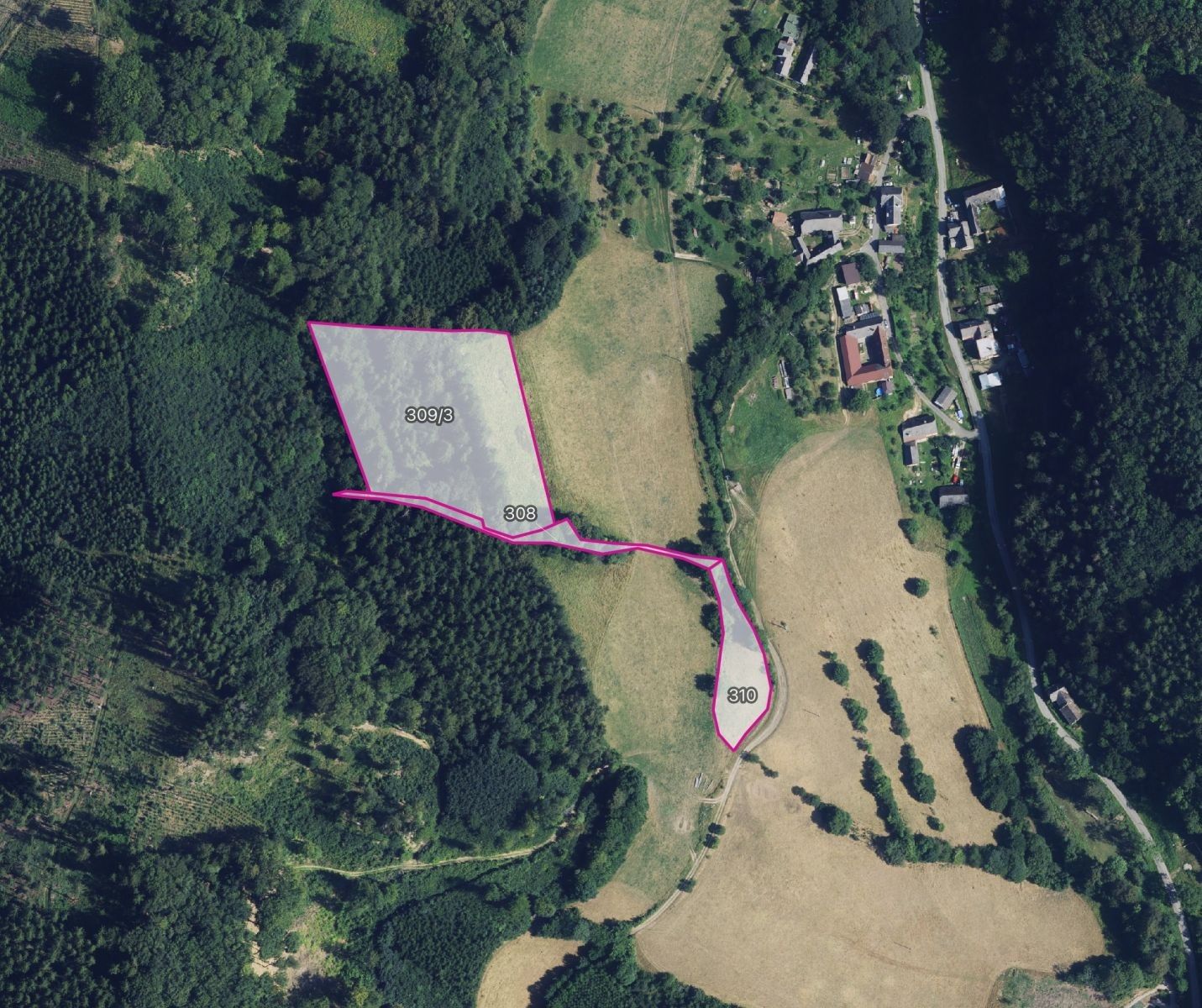 Prodej louka - Městečko Trnávka Bohdalov - 1