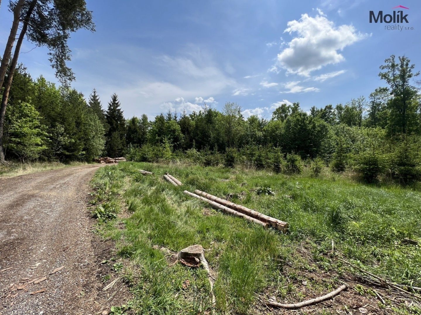Prodej les - Pole, Kadov, 1 948 m²