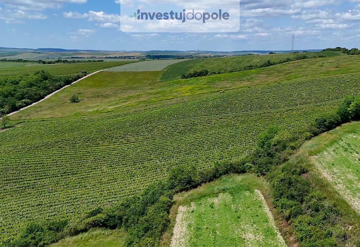 Pozemek pro bydlení · Šardice, 696 13 - 4