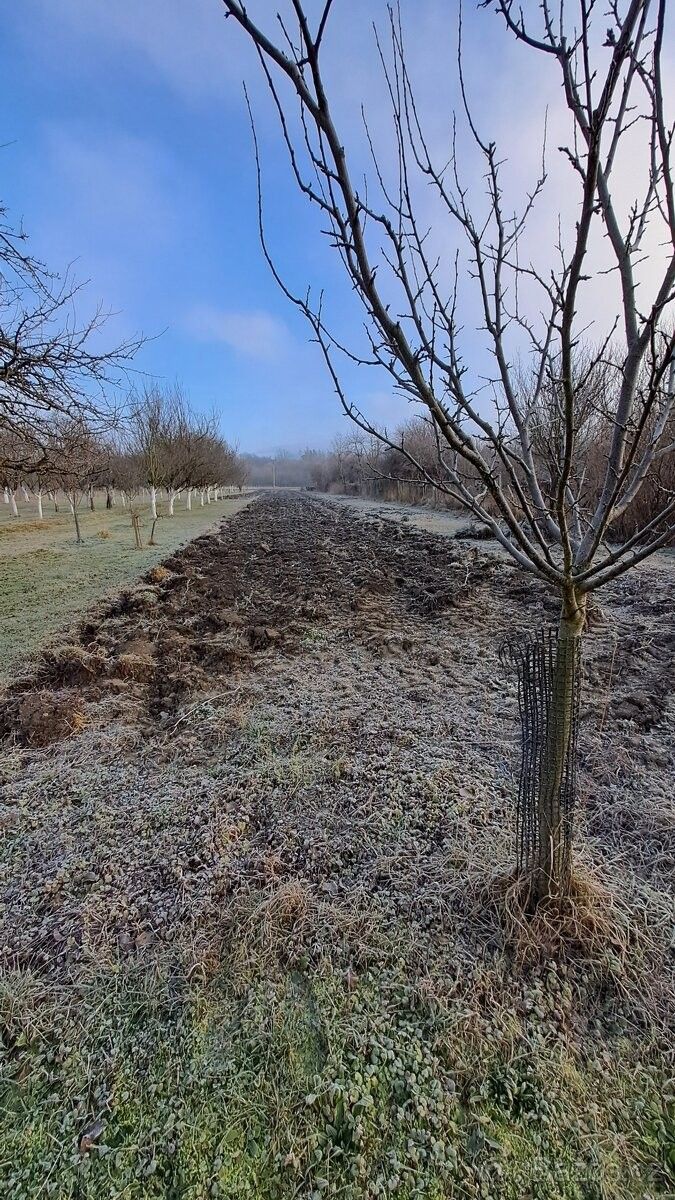 Prodej pozemek pro bydlení - Velká nad Veličkou, 696 74
