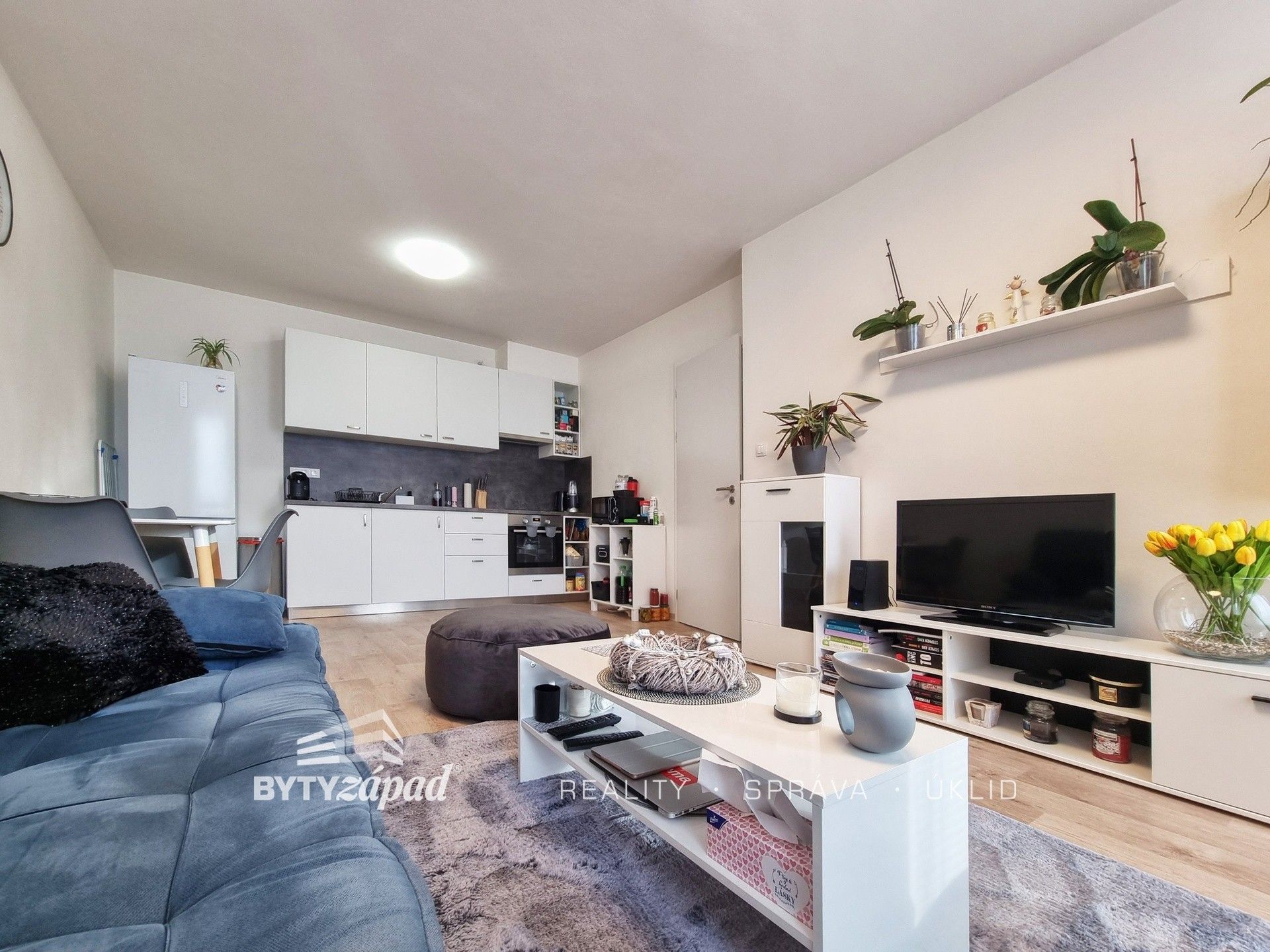 2+kk, Otýlie Beníškové, Plzeň, 48 m²