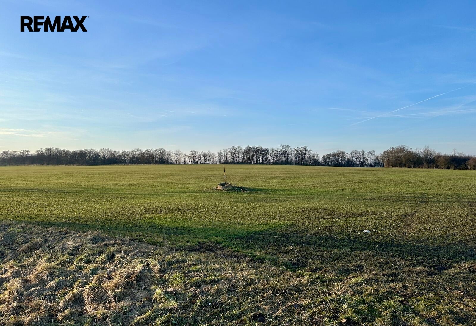 Zemědělský pozemek · 67 156 m² · Velké Přílepy - 4