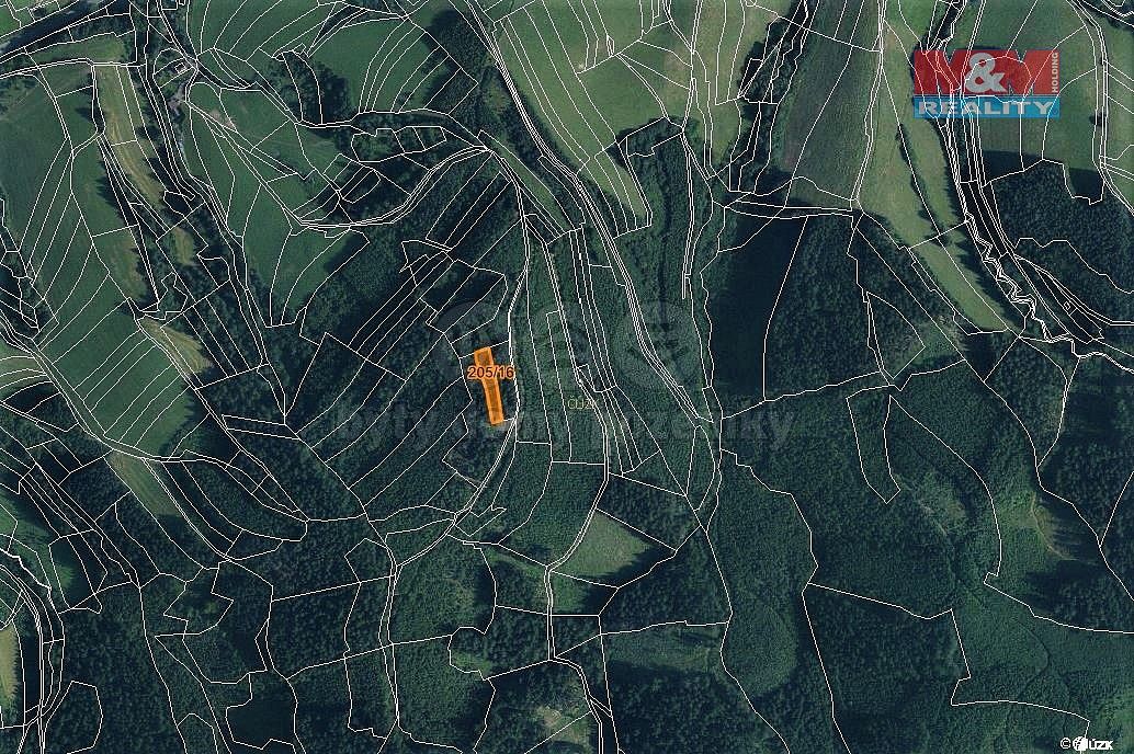 Les · Lhota u Vsetína, okres Vsetín, Zlínský kraj - 4