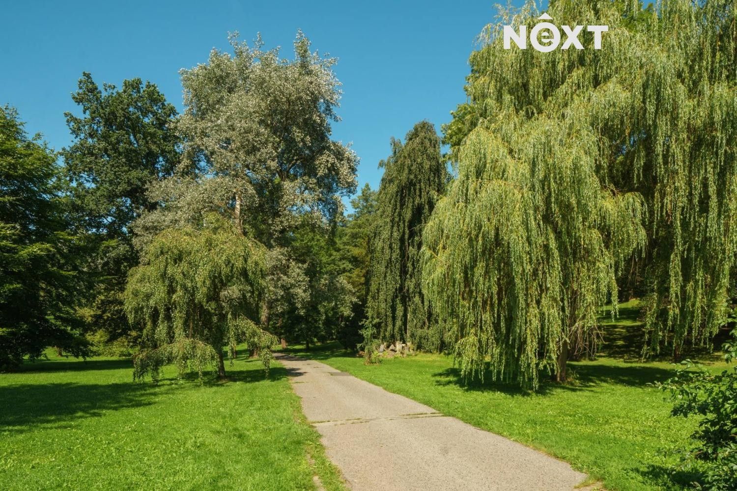 Pronájem byt 1+kk - Roháče z Dubé 2351, Česká Lípa, 28 m² - 5