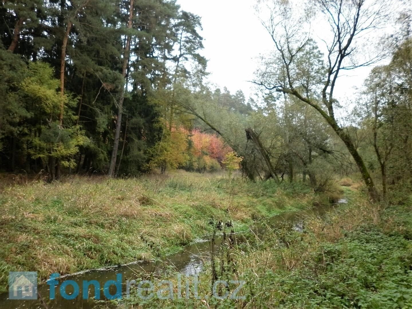 Prodej zemědělský pozemek - Kladruby, 42 m²