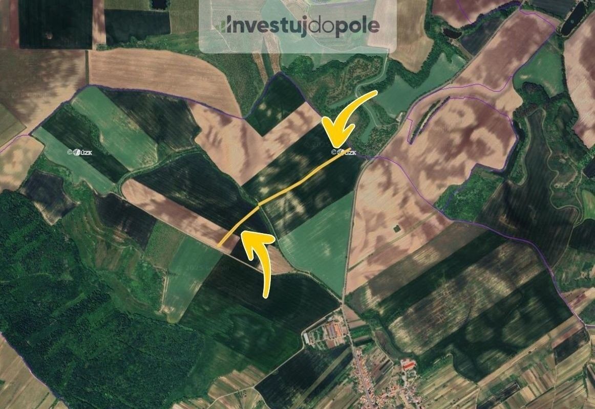 Prodej zemědělský pozemek - Čejkovice