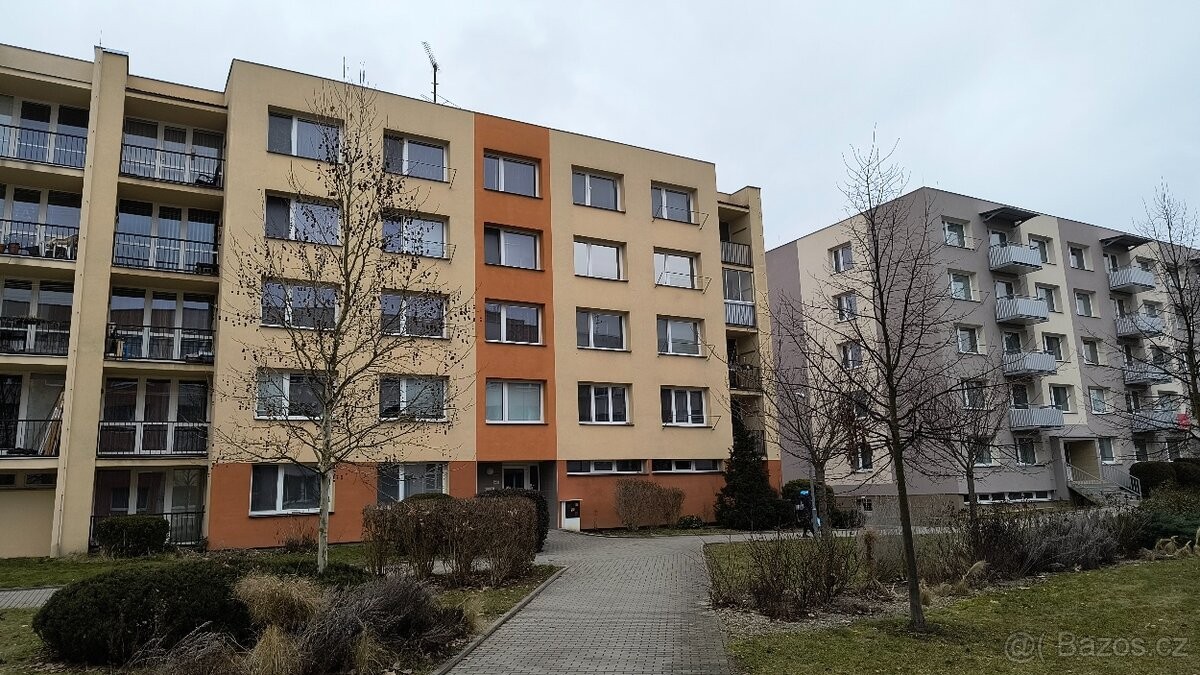 Byt 1+1, 42 m²