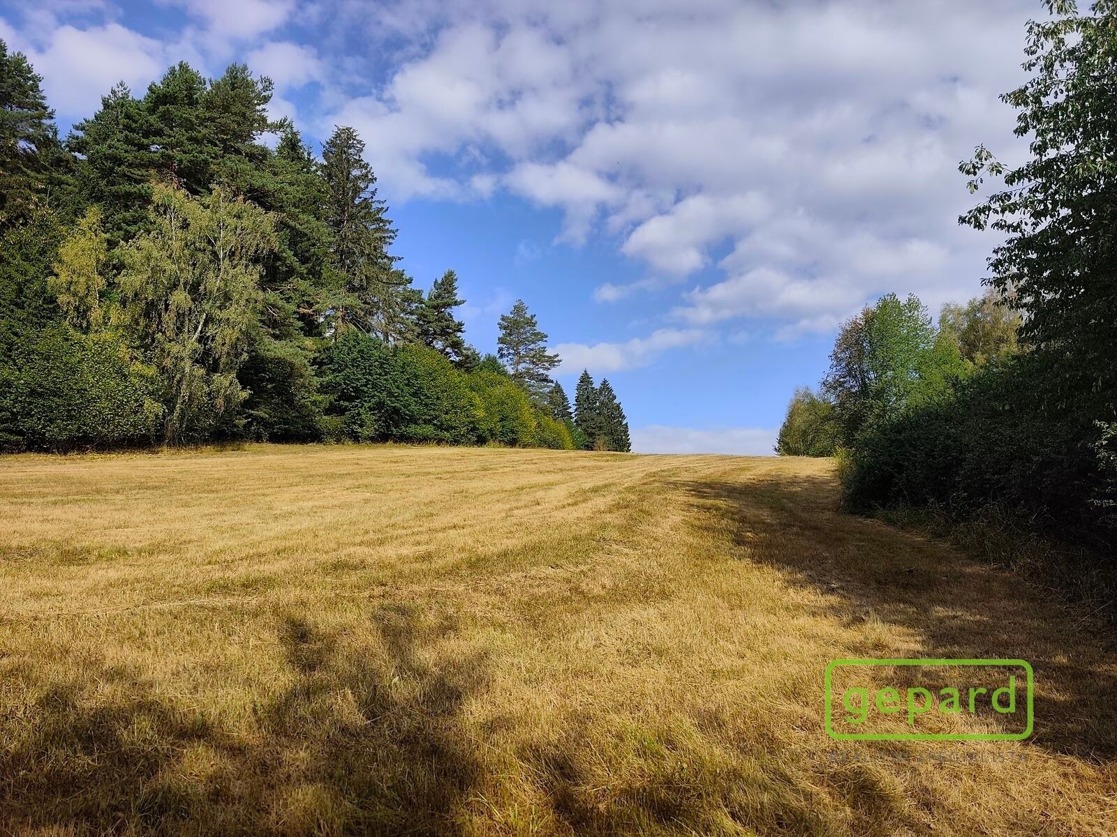 Pozemky pro bydlení, Světlík, 14 307 m² - 1