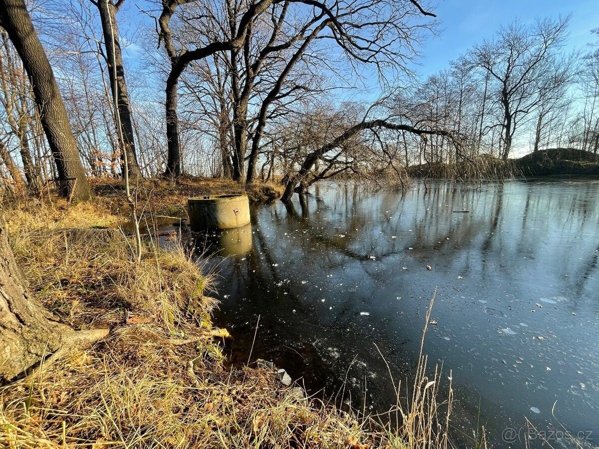 Prodej ostatní - Žulová, 790 65
