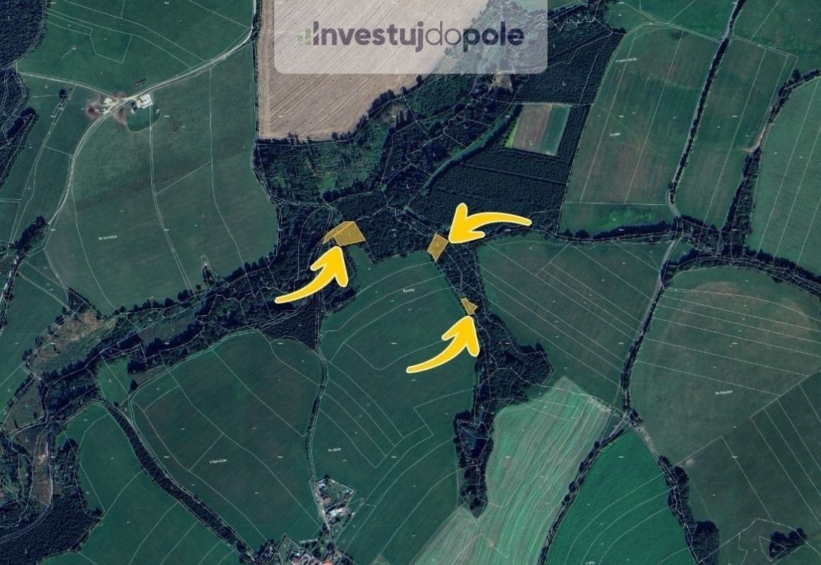 Prodej les - Prosíčka, 2 834 m²