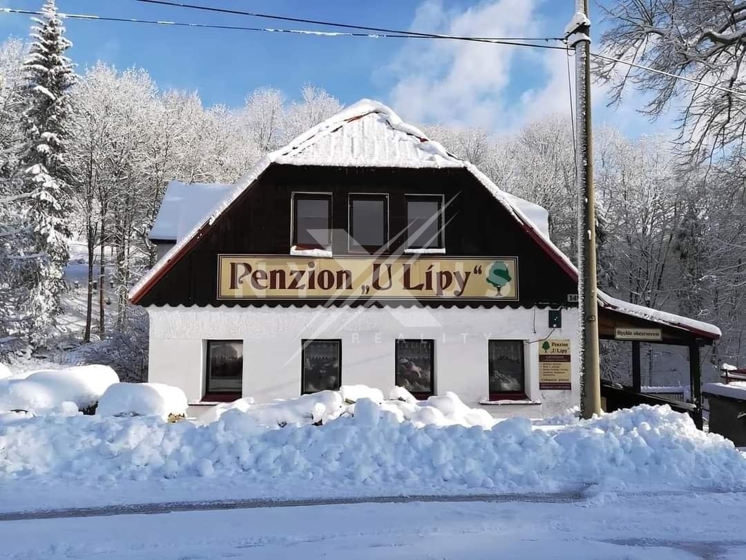 Rodinné domy, Josefův Důl, 550 m²