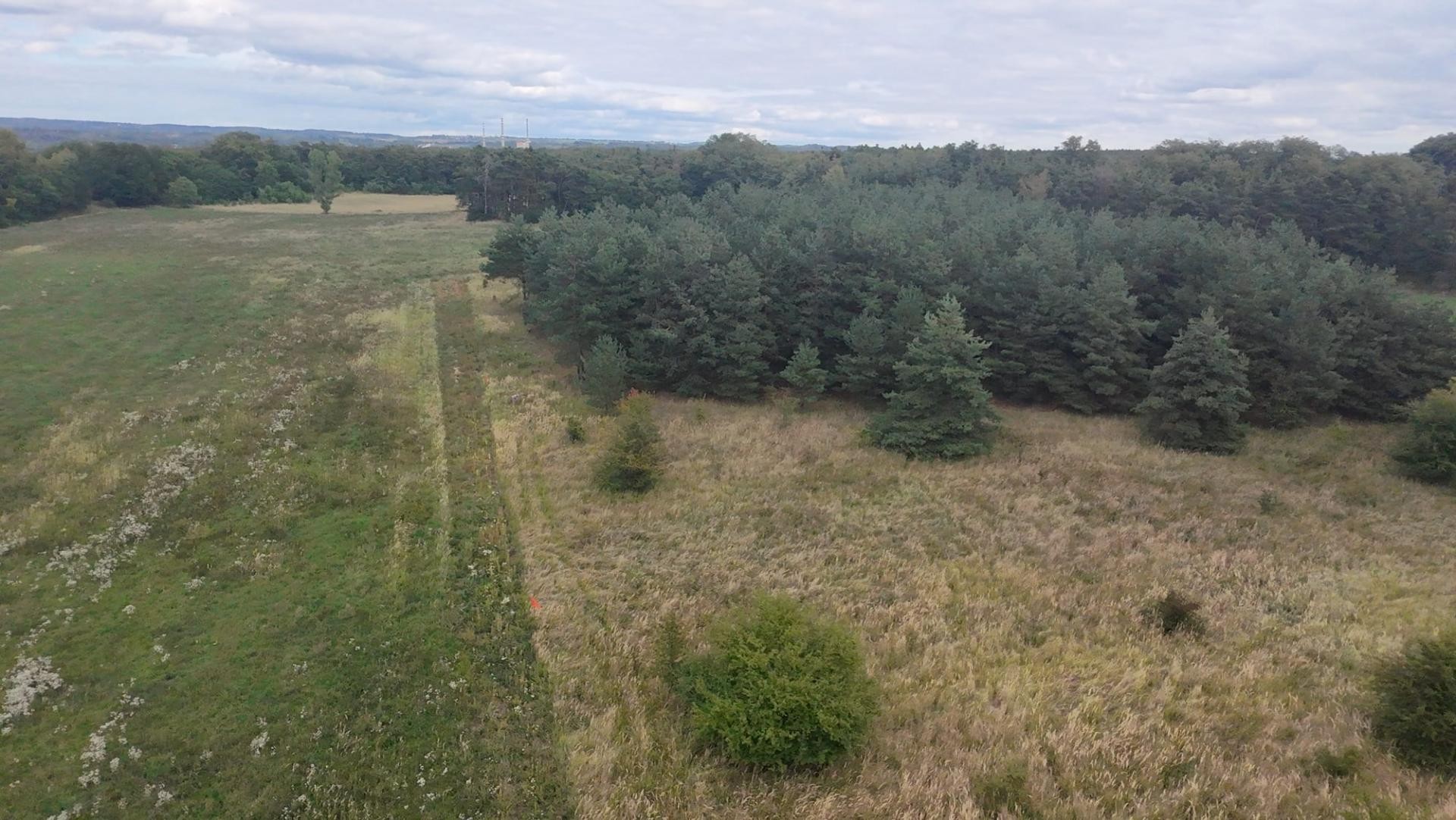 Pozemek · 15 382 m² · Předonín - 4
