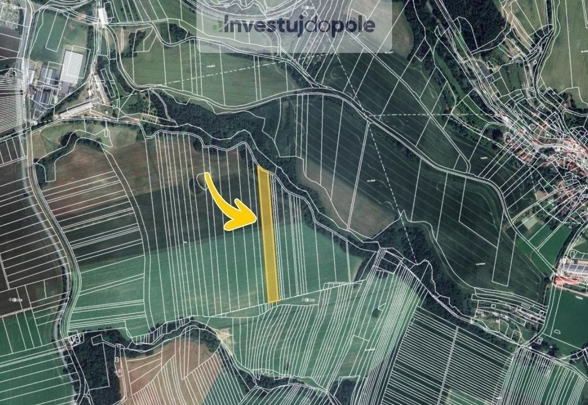 Prodej zemědělský pozemek - Doubravice nad Svitavou, 4 567 m²