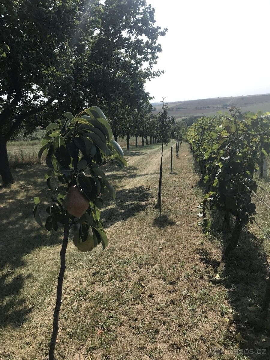 Prodej ostatní - Svatobořice, 696 04