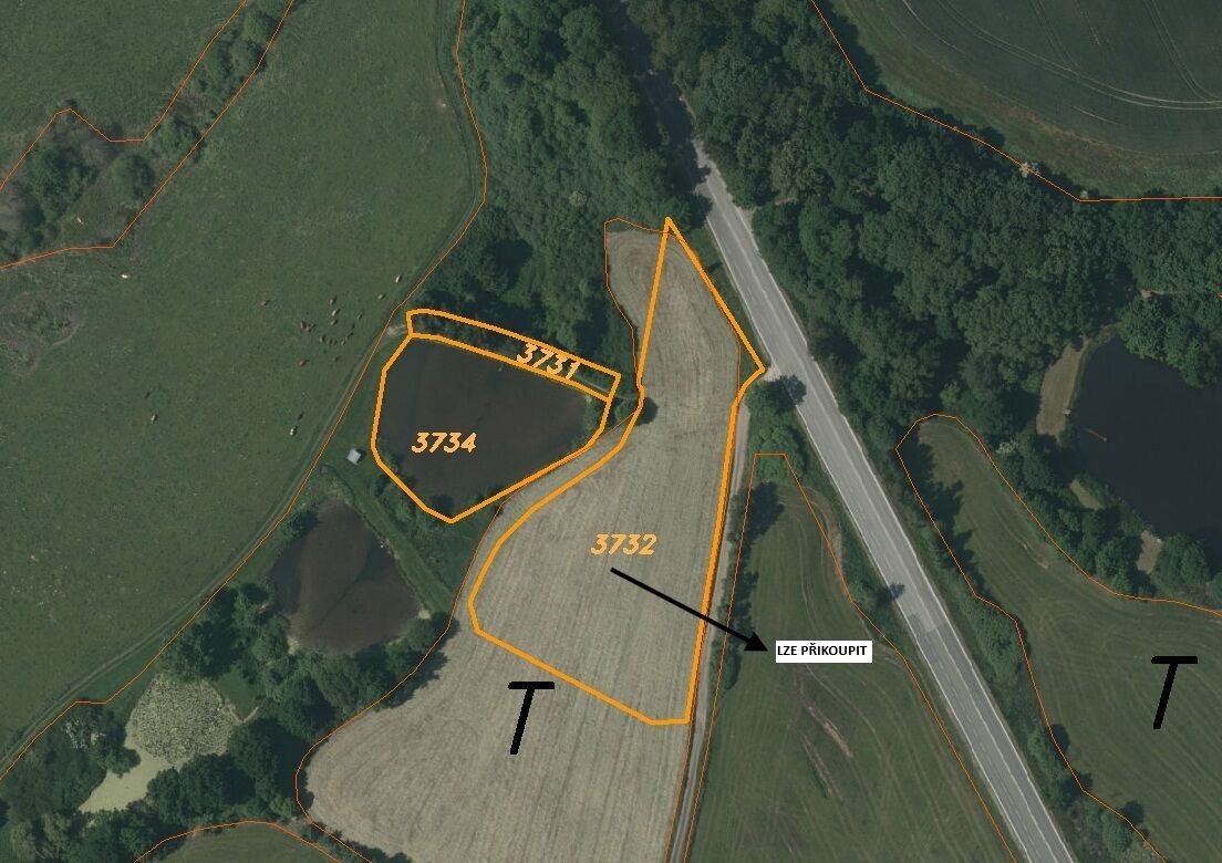 Rybník · 2 882 m² · Mírové Náměstí  , Netolice - 3