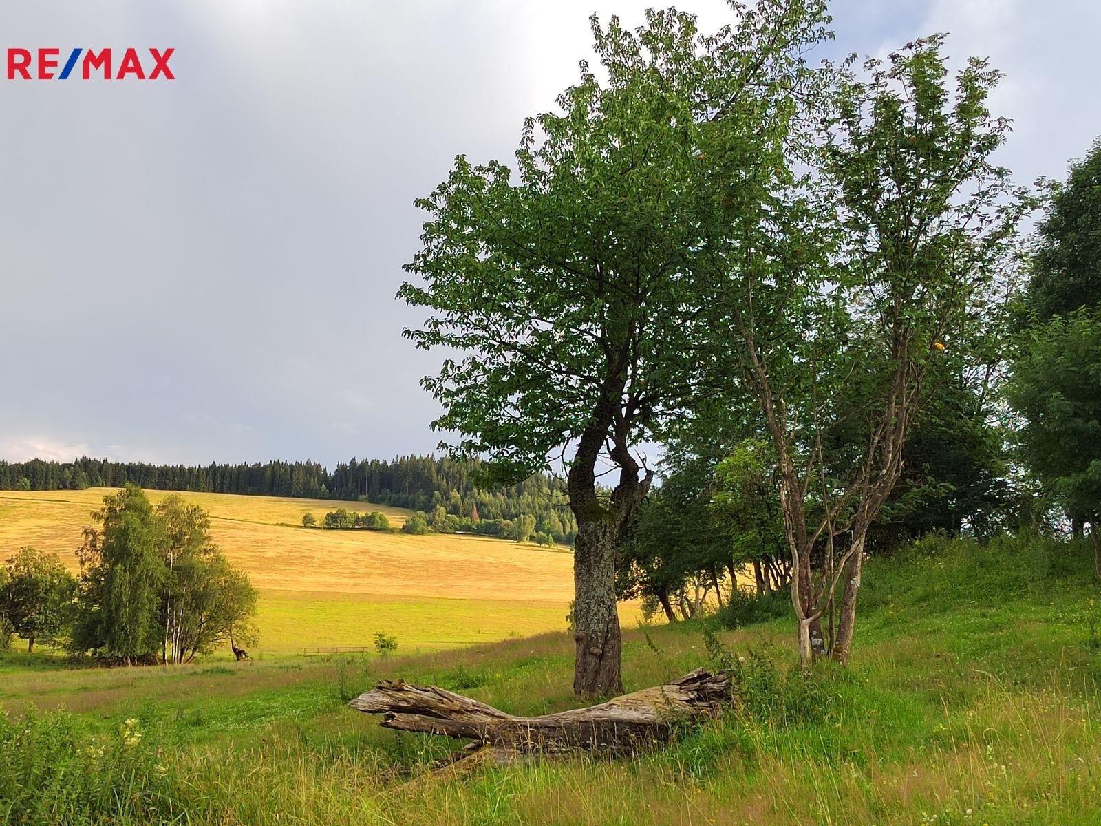 Prodej pozemek pro bydlení - Malá Morava, 1 m²