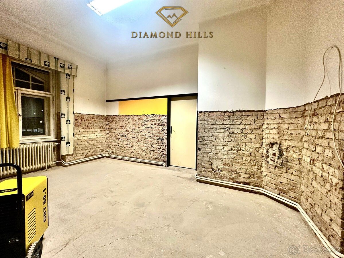 Prodej byt - Praha, 101 00, 142 m²