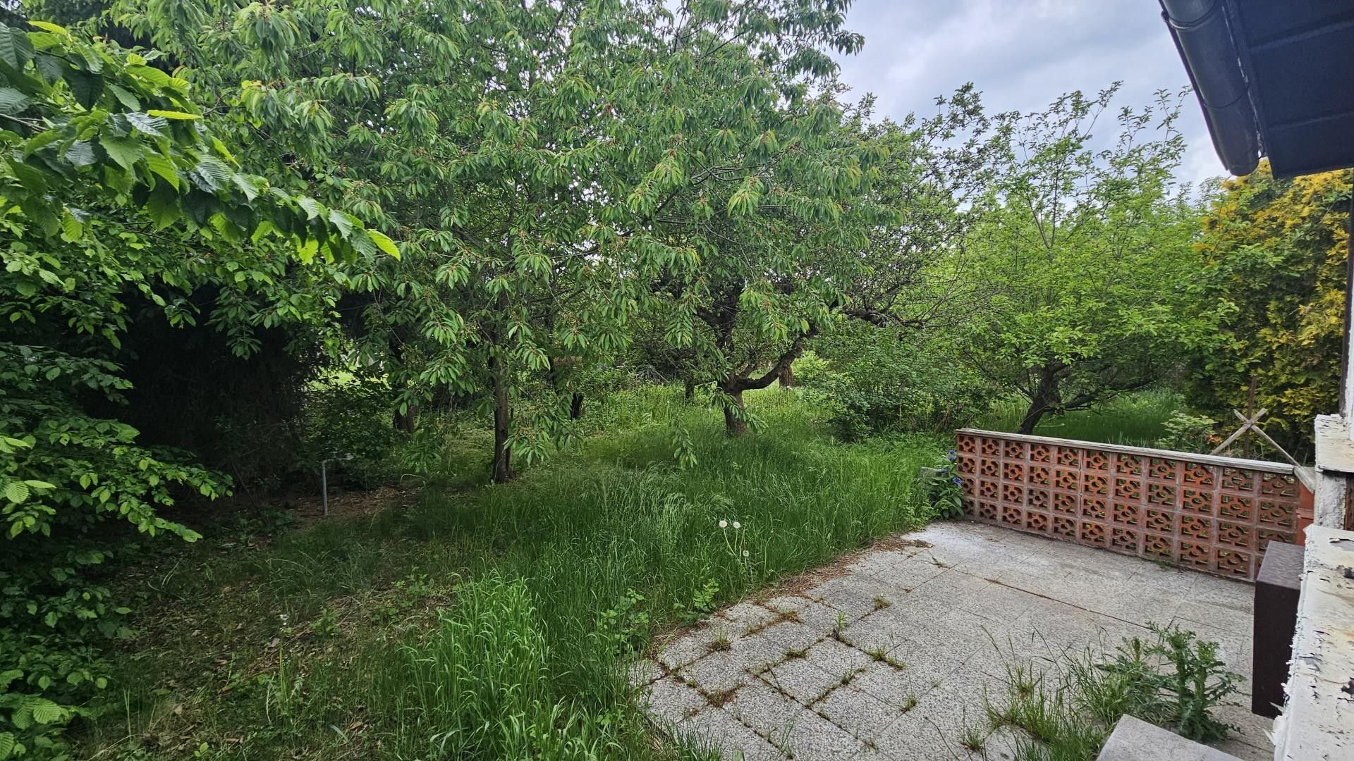 Chaty, Praha 6, Dejvice, 21 m² - 2