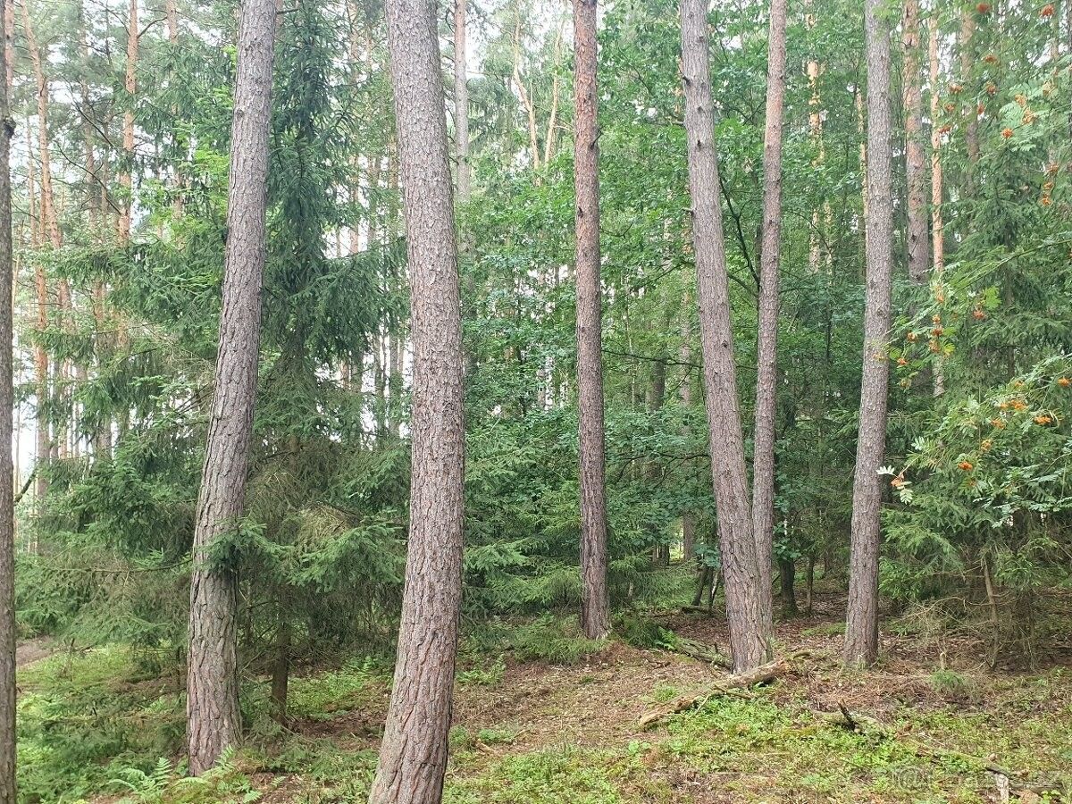 Ostatní, Domažlice, 344 01