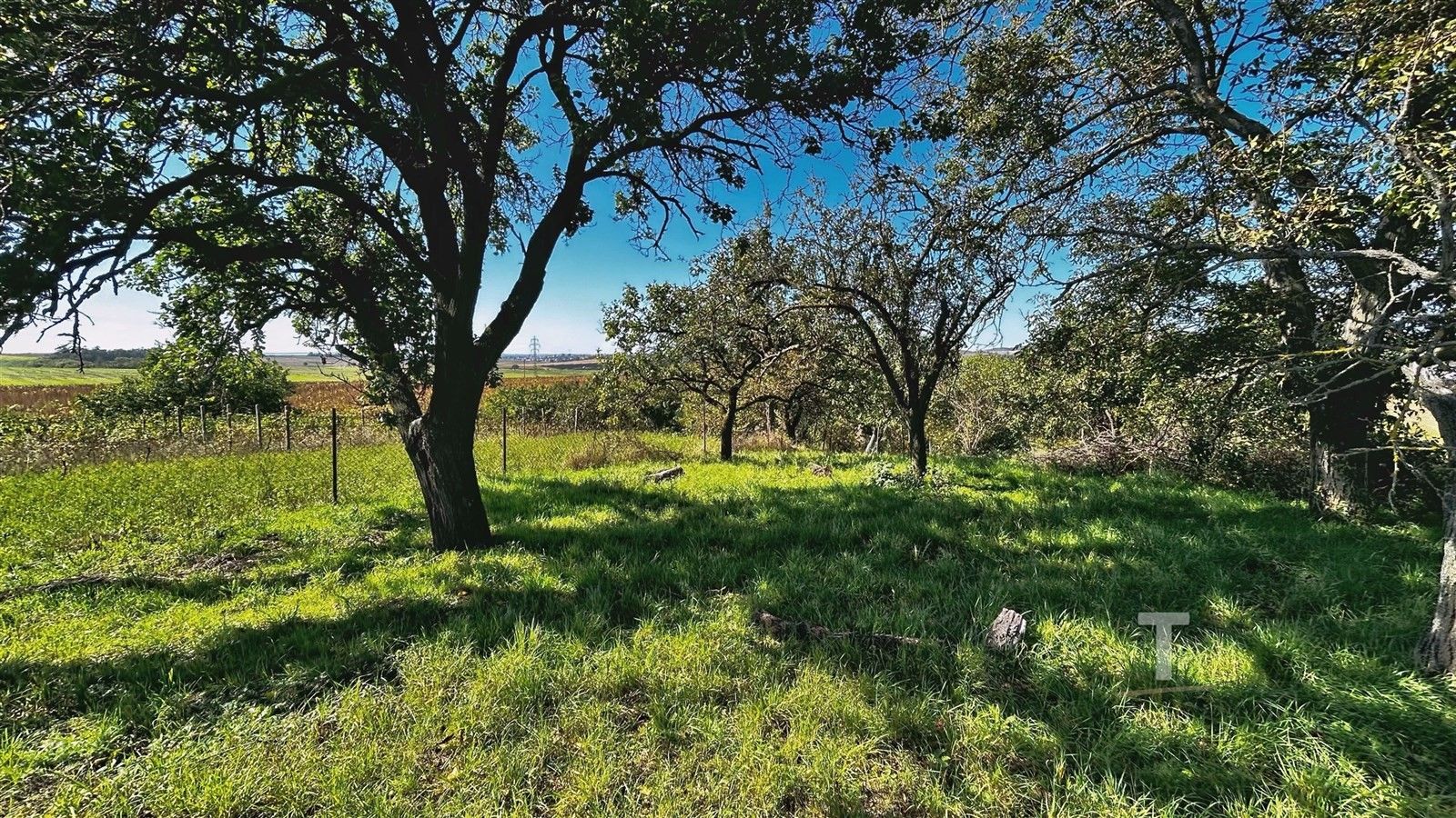 Prodej zahrada - Kyjov