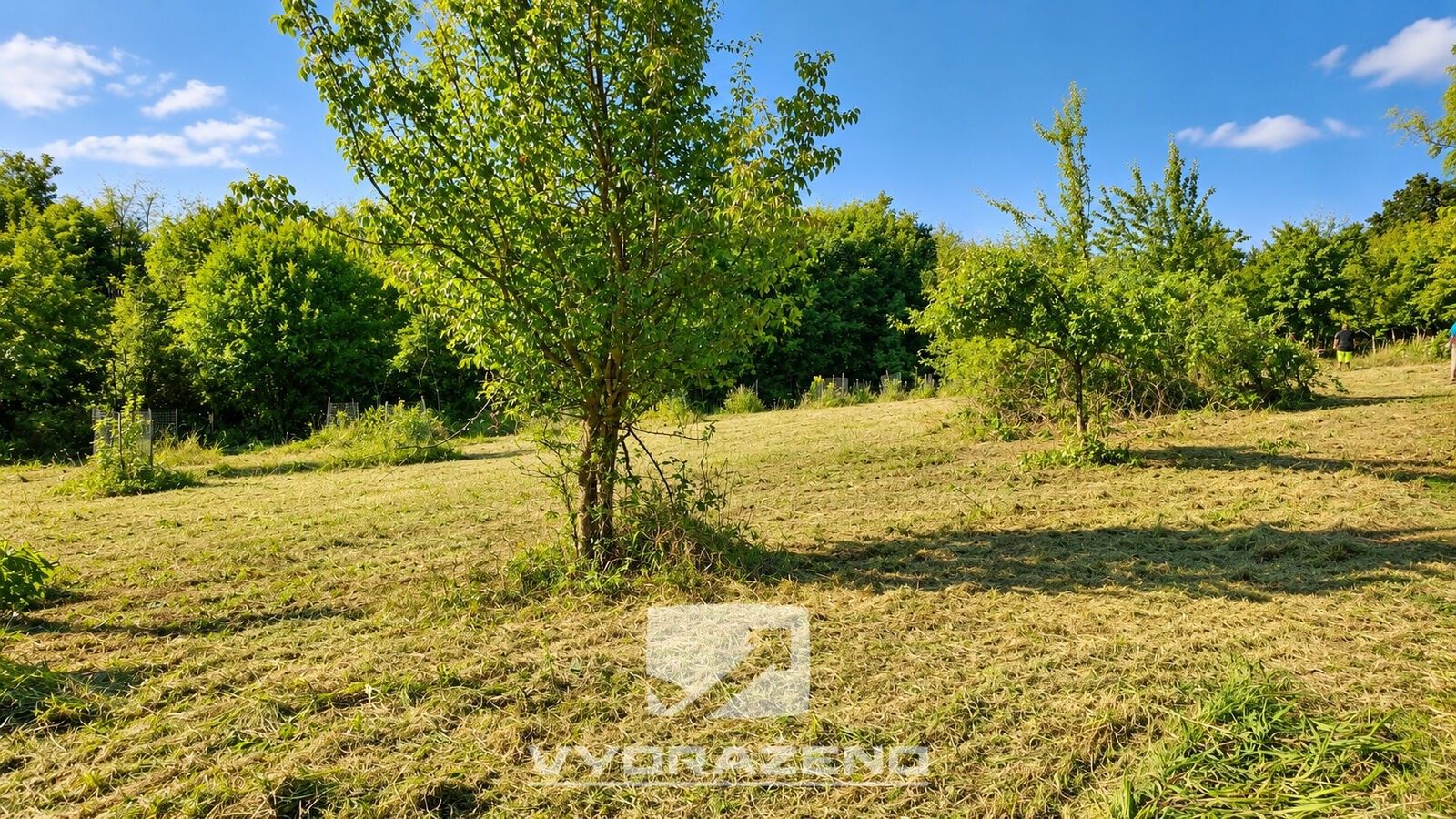 Prodej zemědělský pozemek - Ústí nad Labem, 9 862 m² - 5
