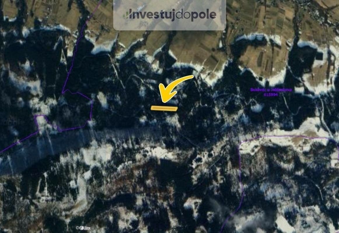 Prodej les - Bukovec, 7 284 m²