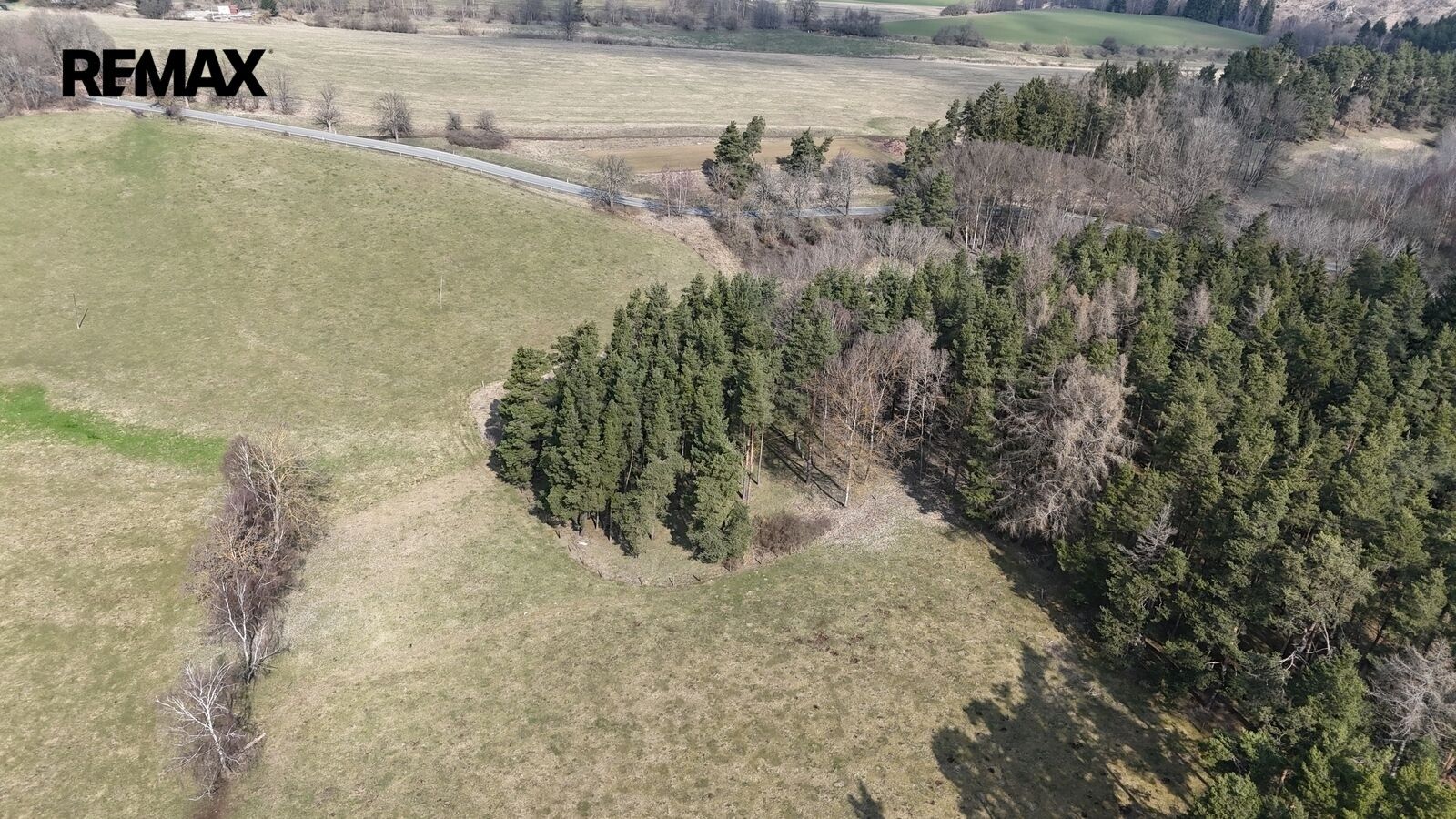 Zemědělský pozemek · 19 771 m² · Lestkov - 4