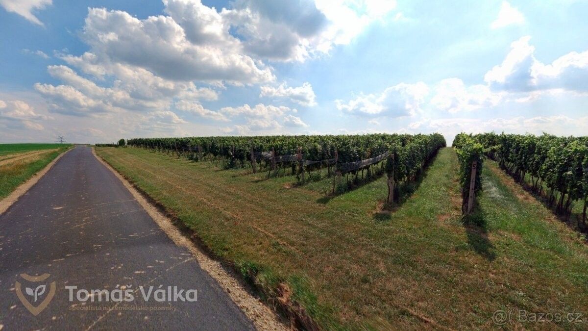 Pozemky pro bydlení, Čejkovice, 696 15