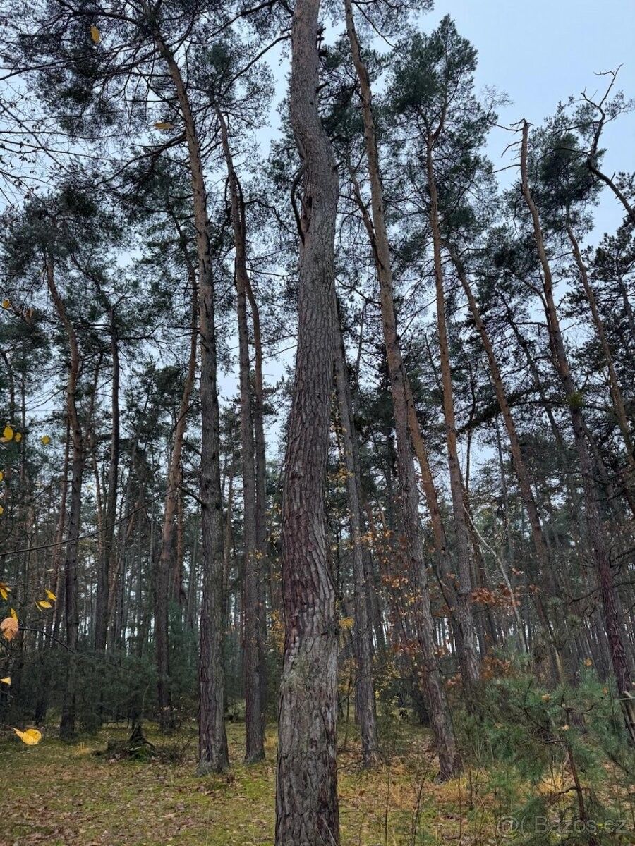 Pozemky pro bydlení, Poříčany, 289 14