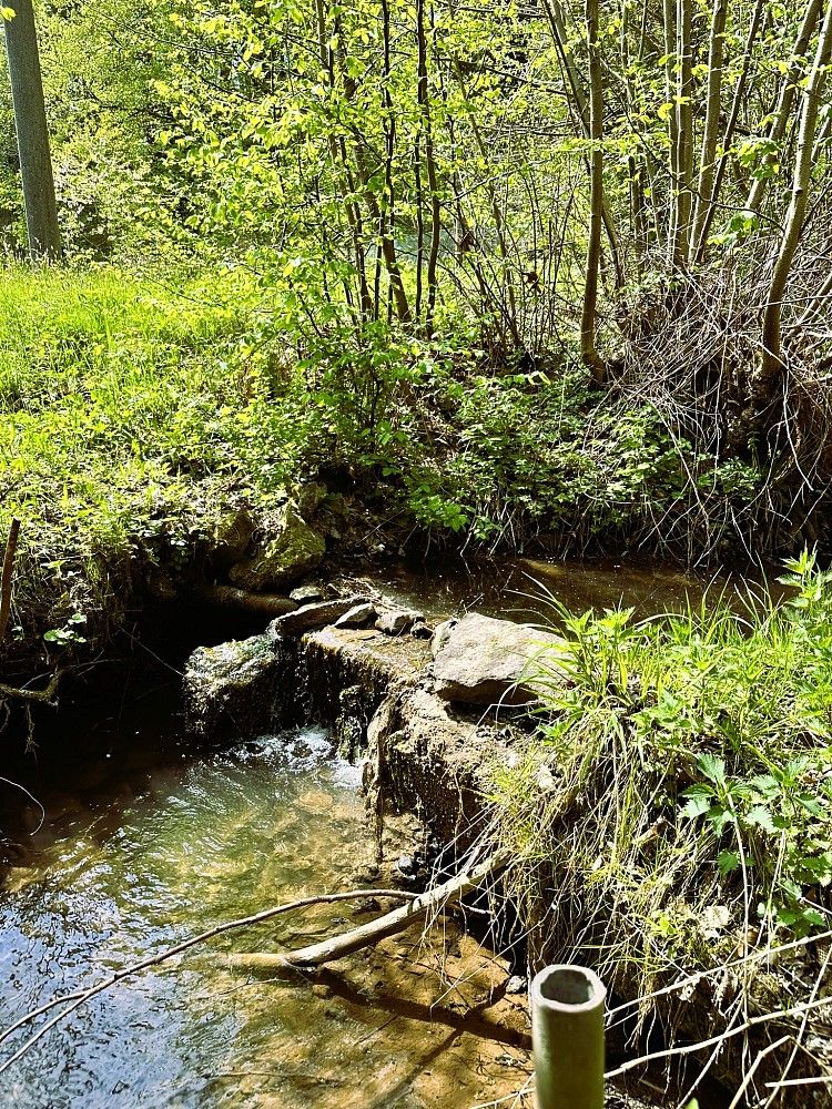 Rodinný dům · 80 m² · Žďárky, okres Náchod - 4