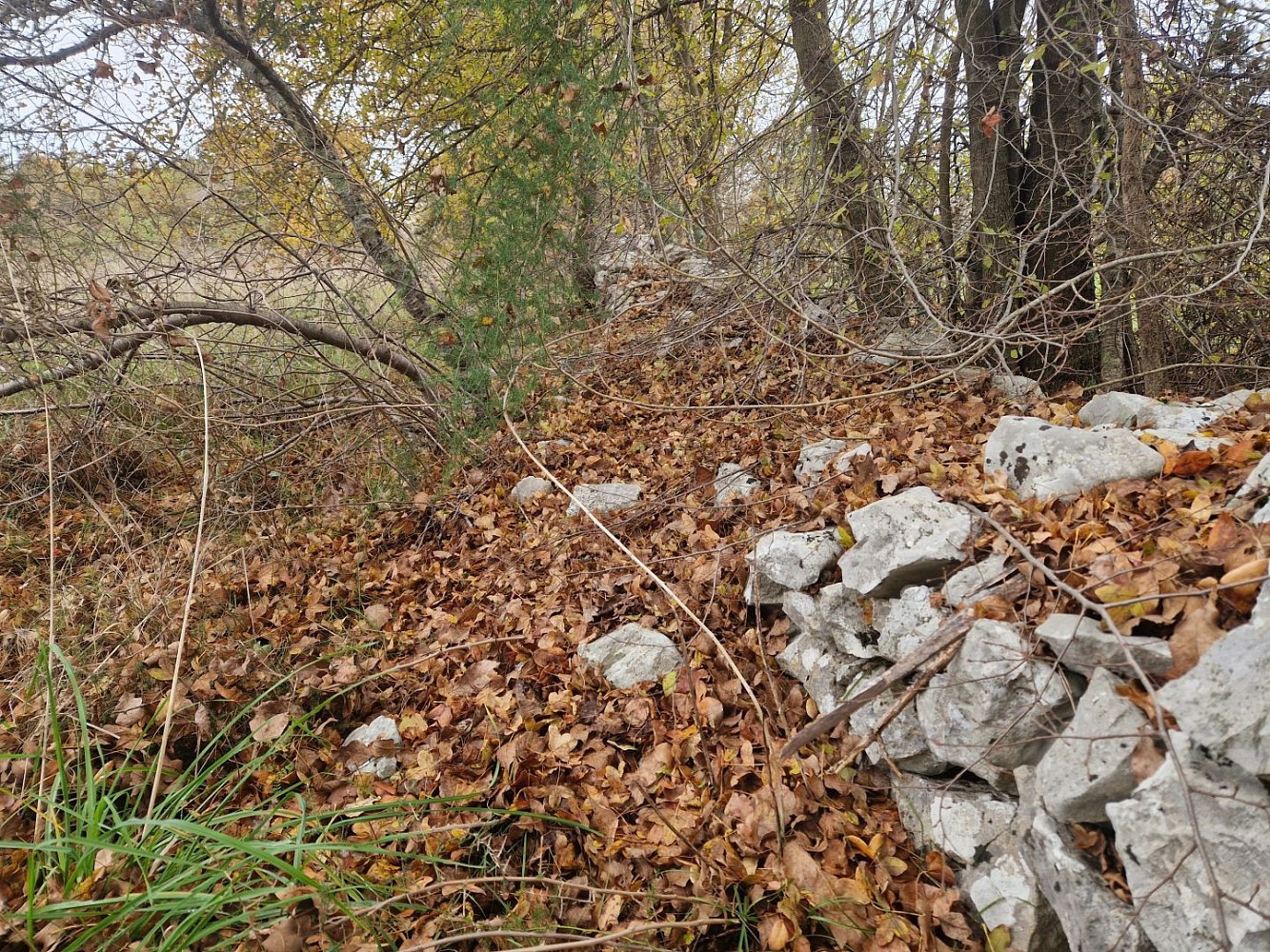 Pozemek pro bydlení · 2 900 m² · Barban, Istarska županija, Chorvatsko - 3