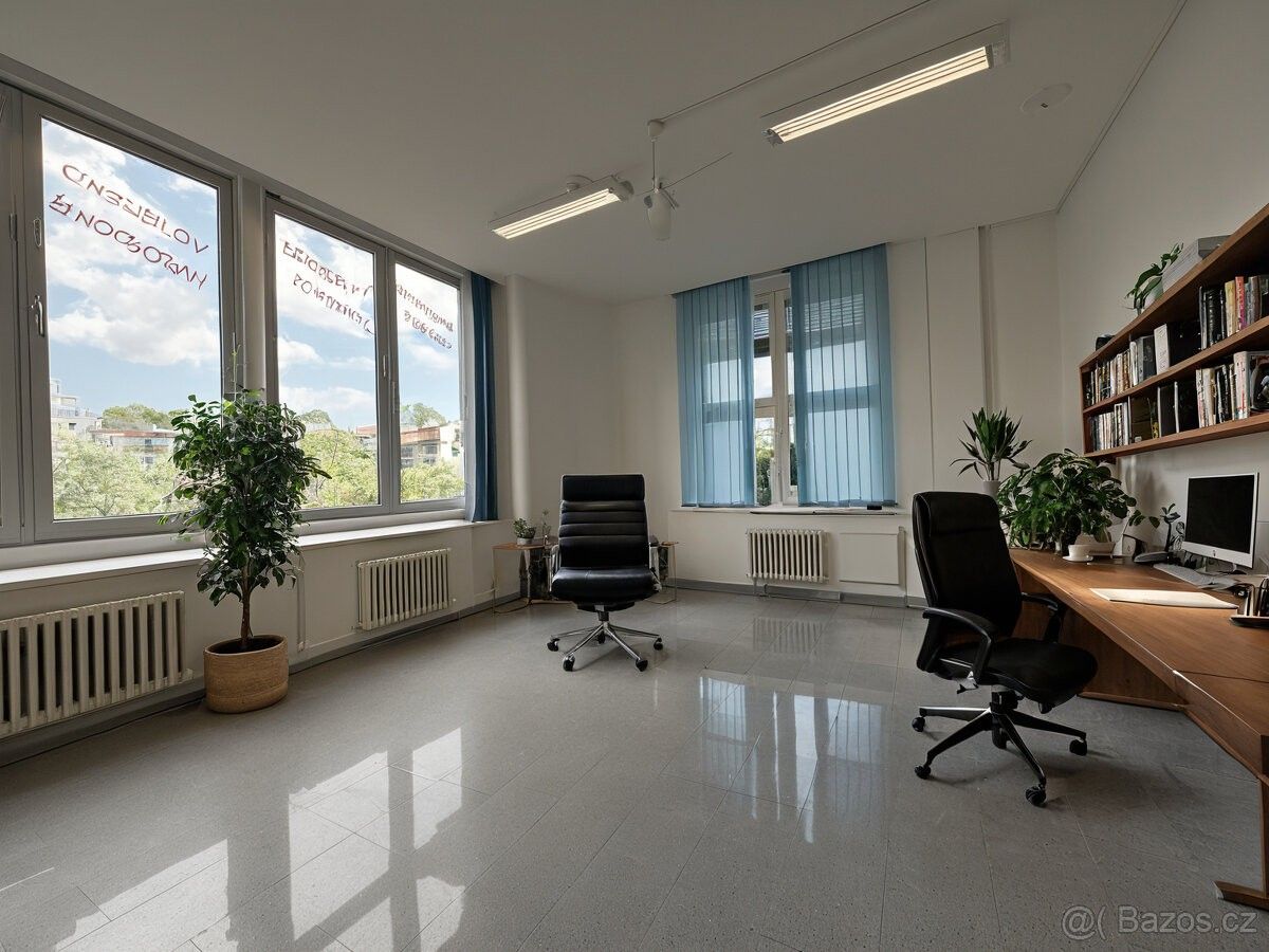 Kanceláře, Zábřeh, 789 01