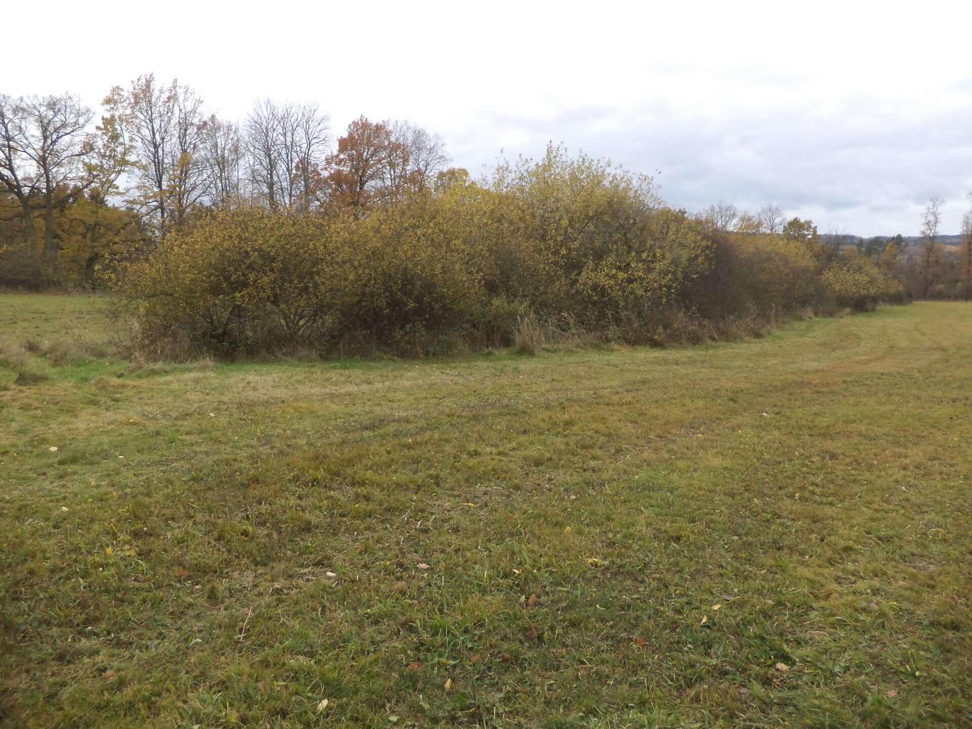 Prodej zemědělský pozemek - Ždírec, 26 m²