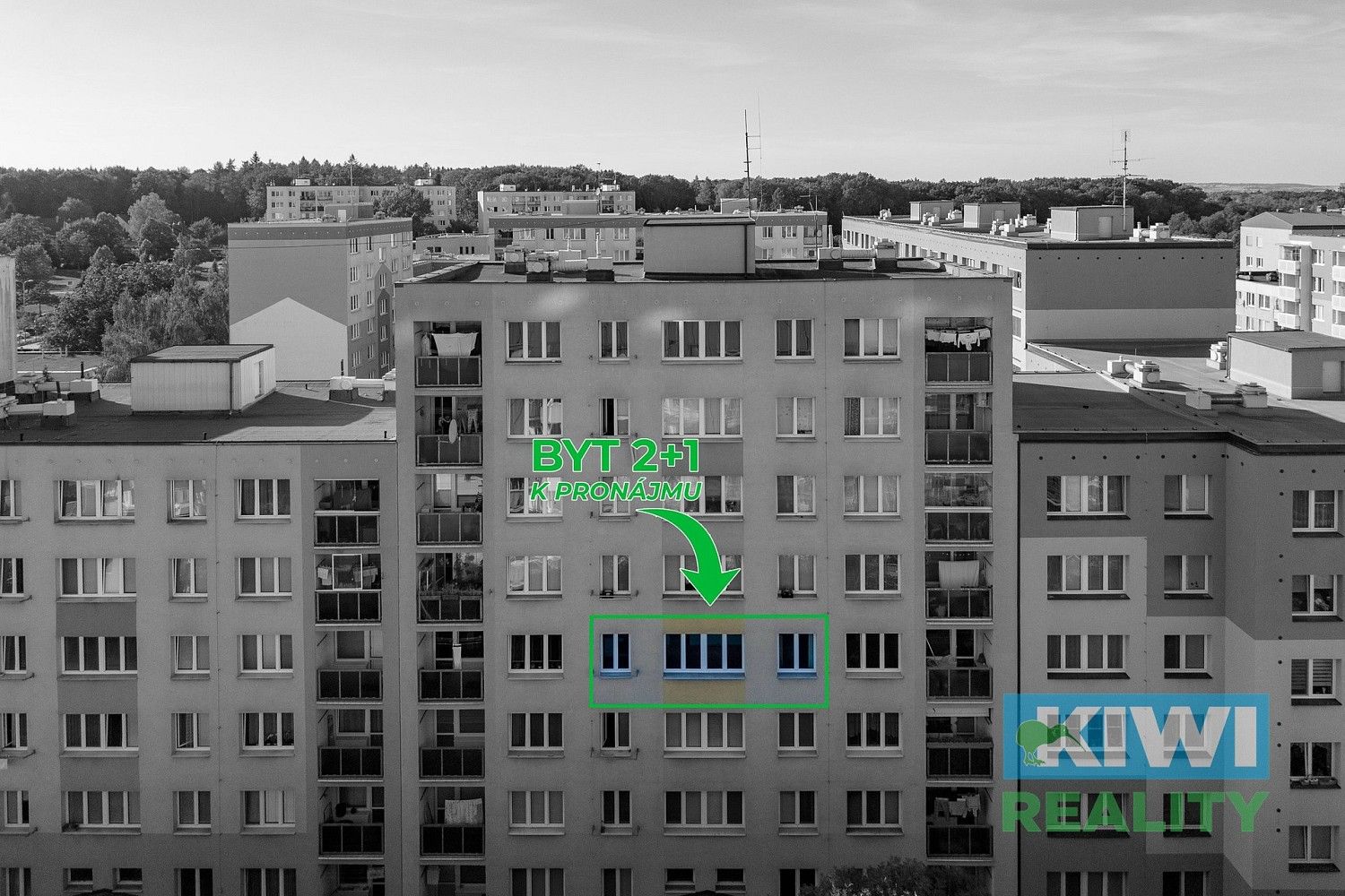Pronájem byt 2+1 - Ladislava Hosáka, Ostrava - Bělský Les, 40 m² - 5