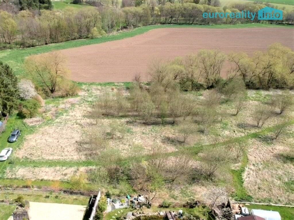 Prodej pozemek pro bydlení - Planá, 5 800 m² - 5