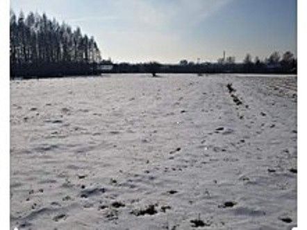 Prodej pozemek pro bydlení - Petrovice u Karviné, 735 72