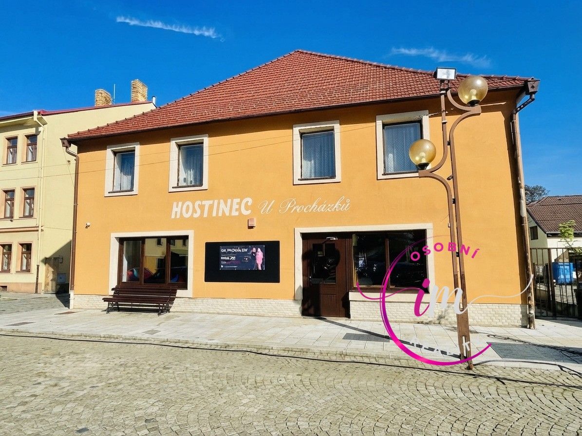Ostatní, nám. 9. května, Luka nad Jihlavou, 282 m² - 1