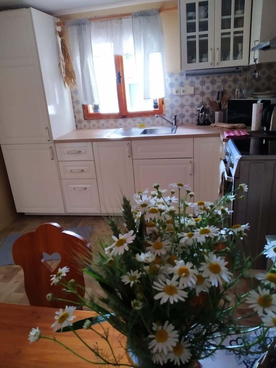 Chaty, Velké Bílovice, Jihomoravský kraj - 2